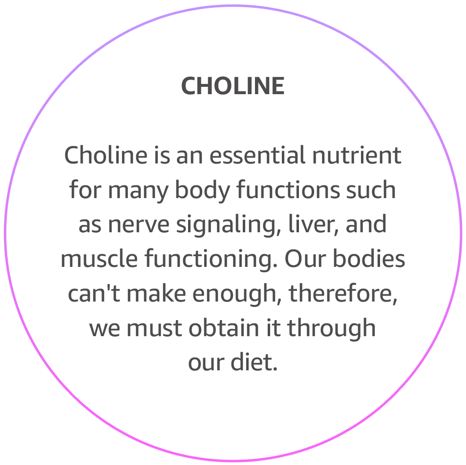 Choline - essential nutrient