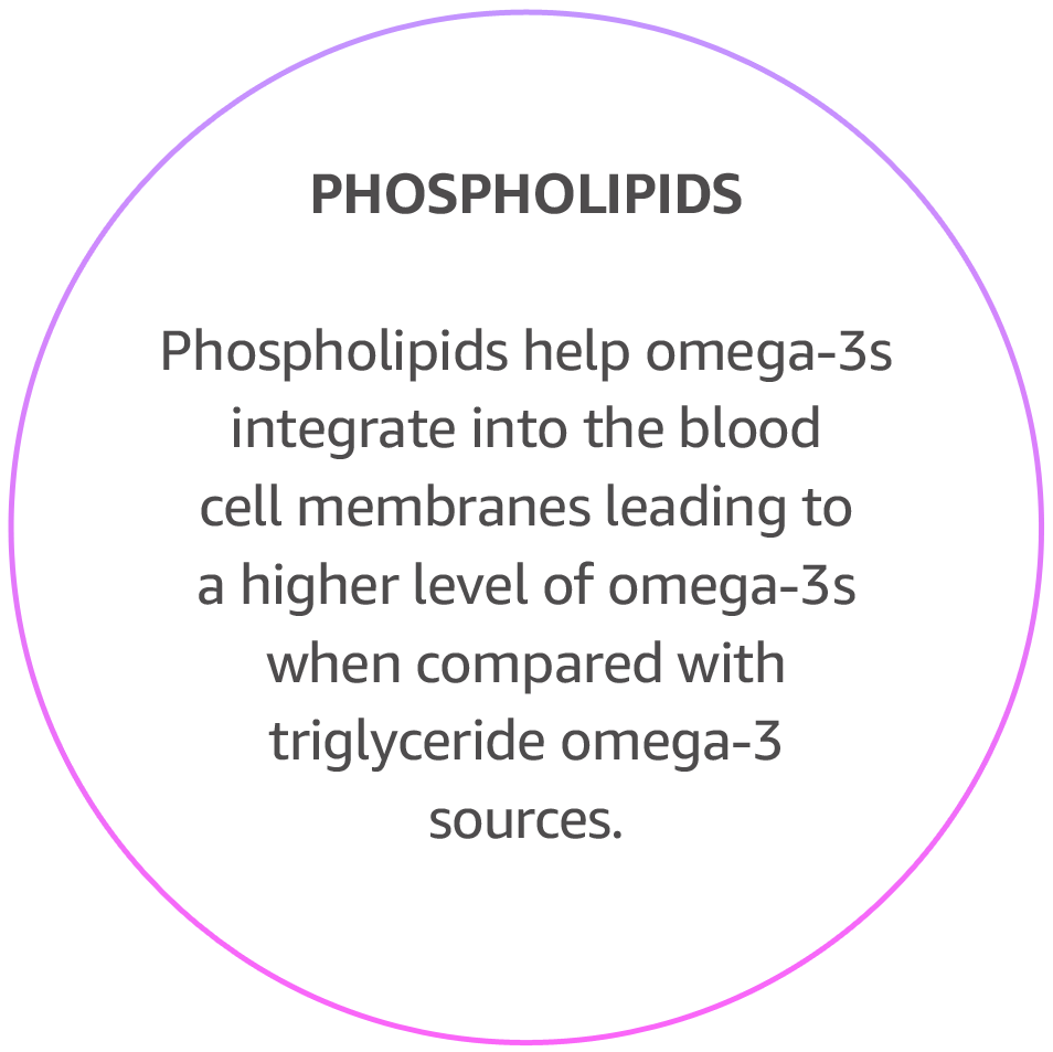 Phospholipids - building blocks of our cell membranes